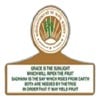 Bhubaneswar Institute of Management and Information Technology, Bhubaneshwar